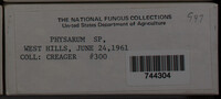 Image Associated With the Occurence
